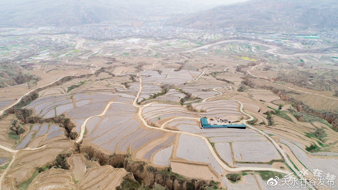 刘亦菲已拿下全部白玉兰前哨奖